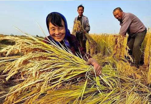 重磅！繼包產(chǎn)到戶之后，我國農(nóng)村又一次迎來重大改革